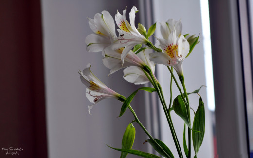 679843 (a): :2560x1600
